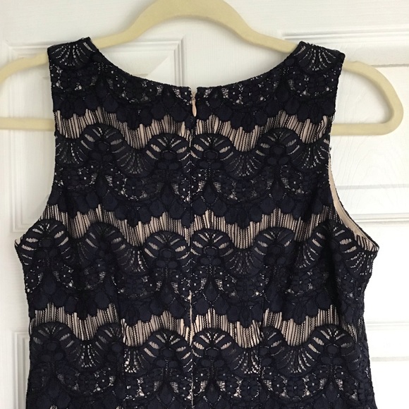 Eliza J Scoop Neck Lace Sheath Cocktail Dress Sheer Navy Cream Tan Lining 2 - Picture 4 of 7